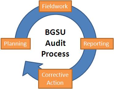 audit image