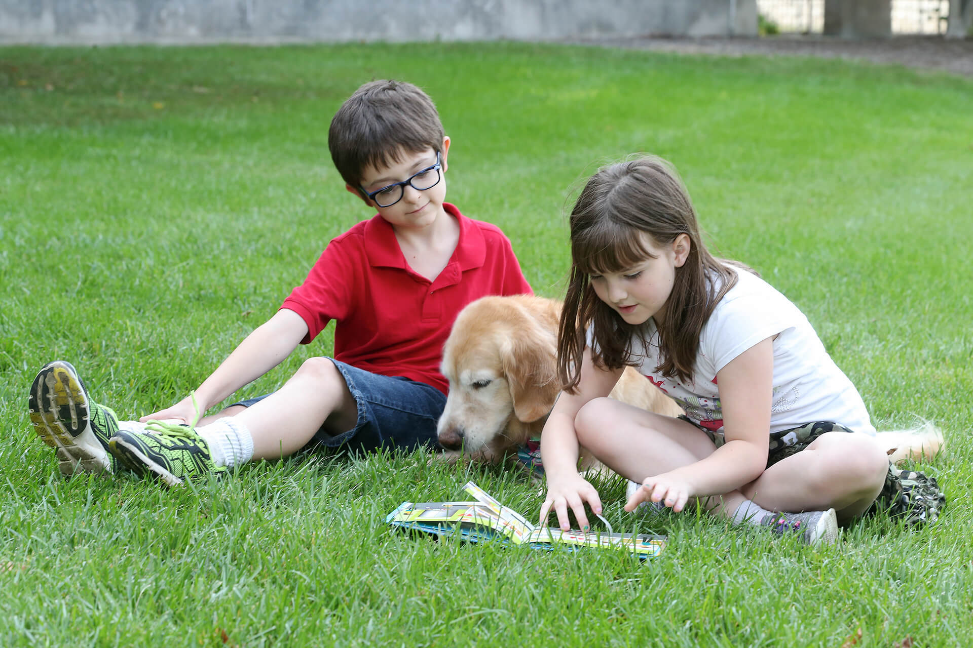 kids with dog in field
