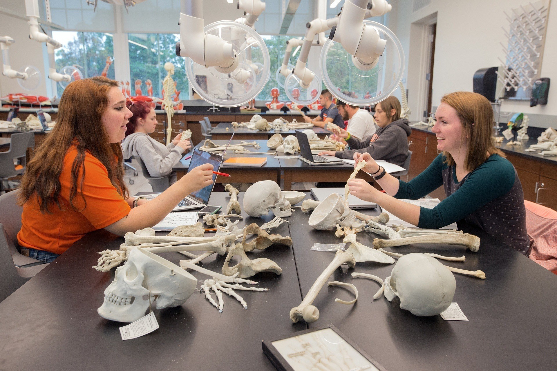 A group of students sitting at desks and looking at bones.