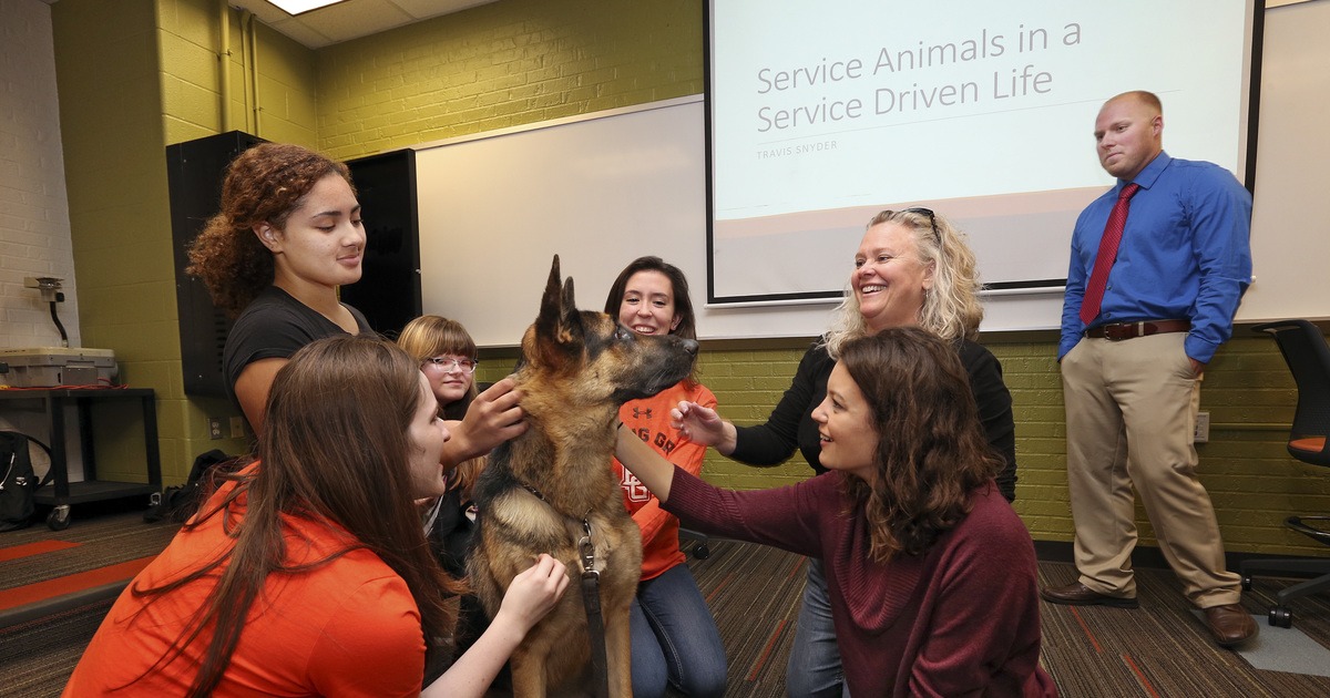 Pre-Veterinary Medicine