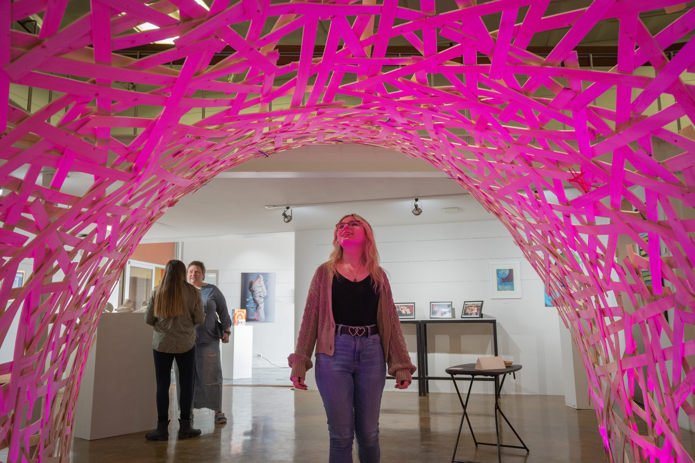 Art of Diversity for the Public Good