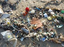 ocean-pollution-1-newsletter