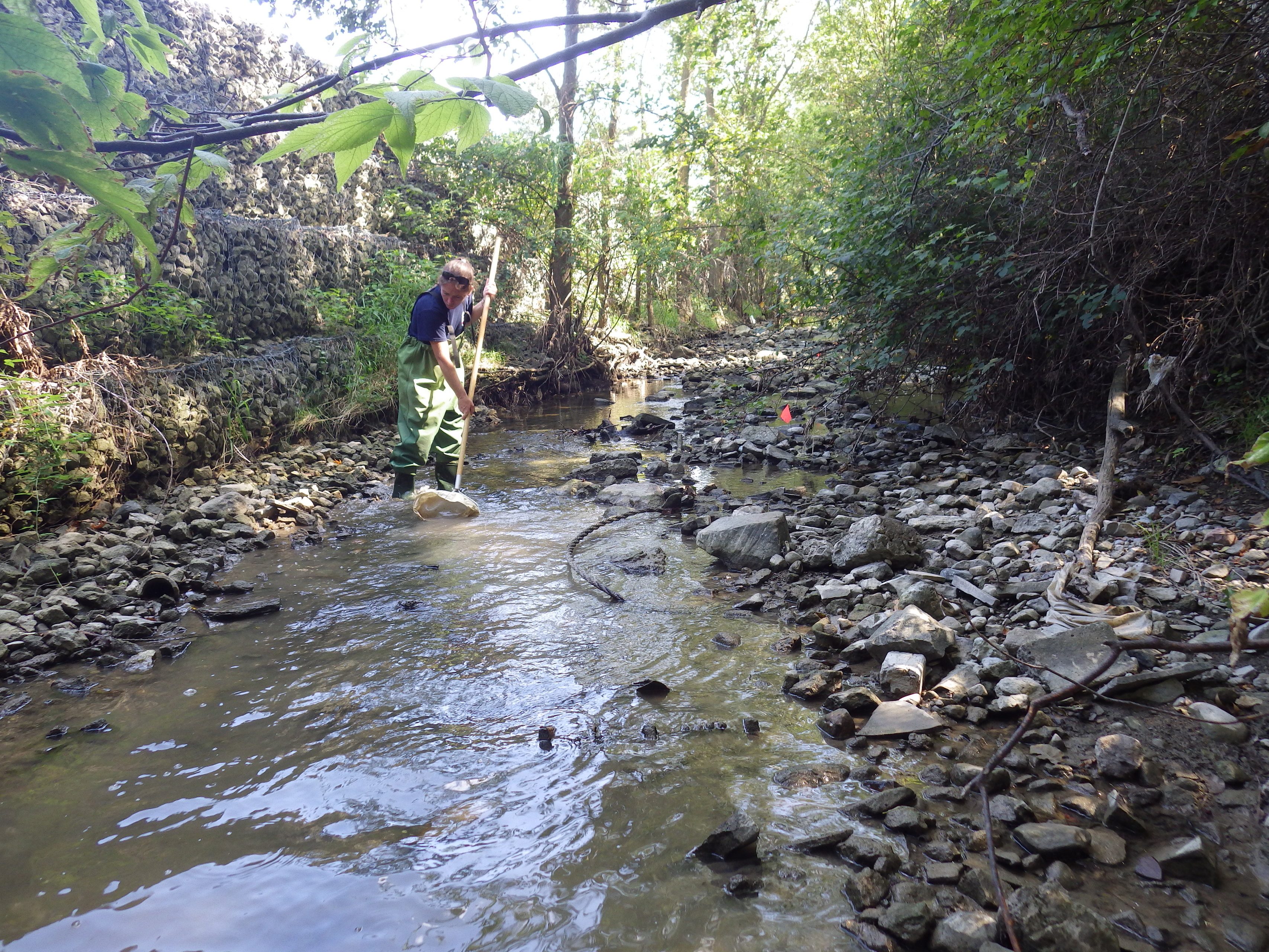 Stream-Sampling