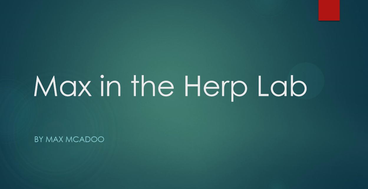 Max in the Herp Lab