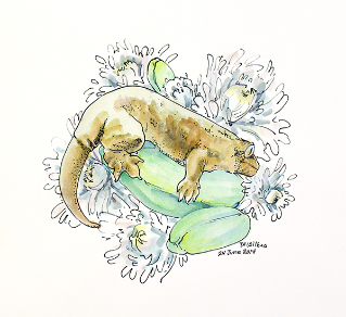 watercolor ink leachie Taylor Wilkes
