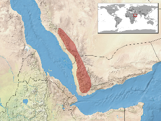 veiled chameleon map