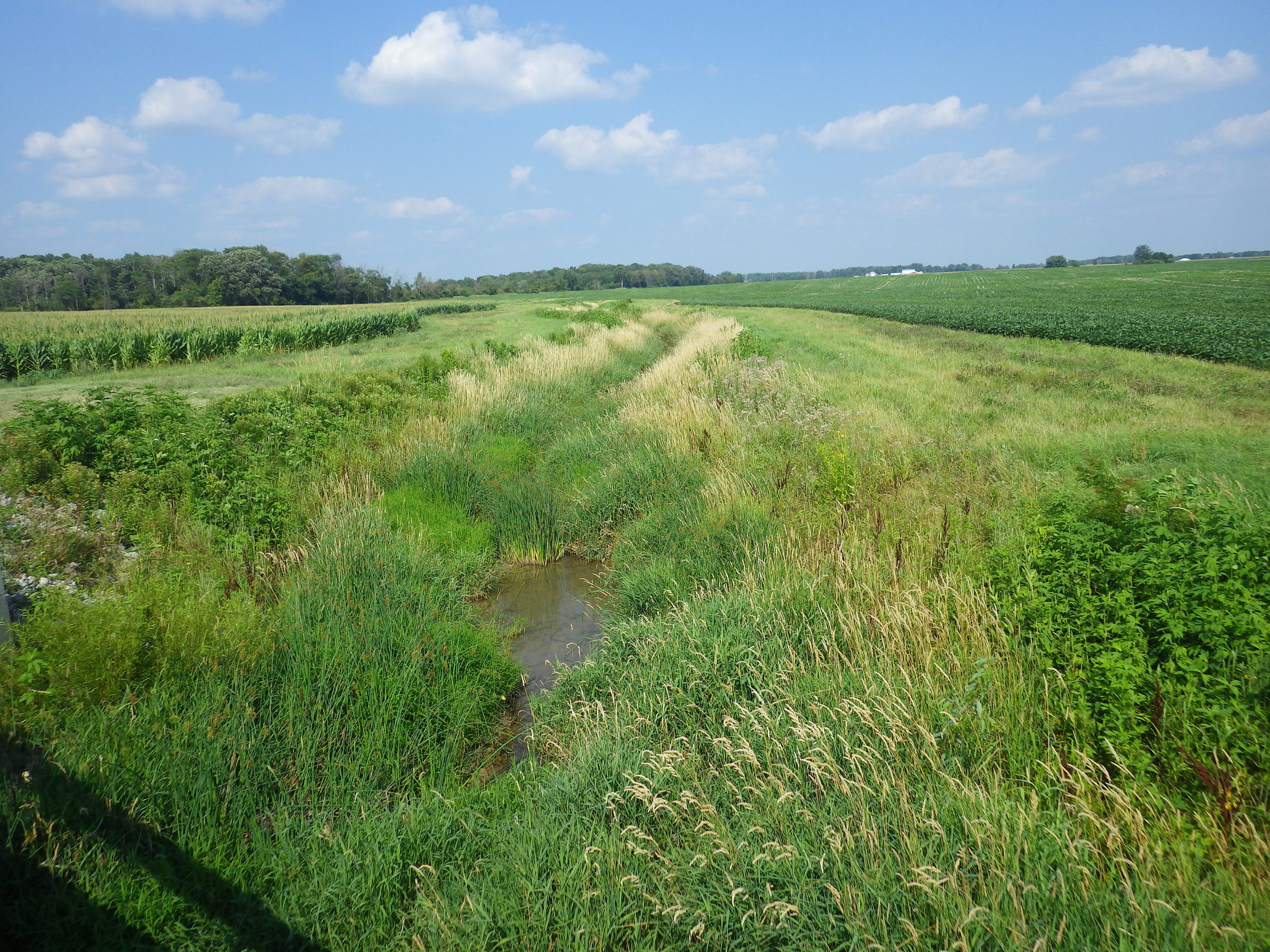 Ecology-Research
