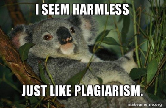Plagiarism Meme