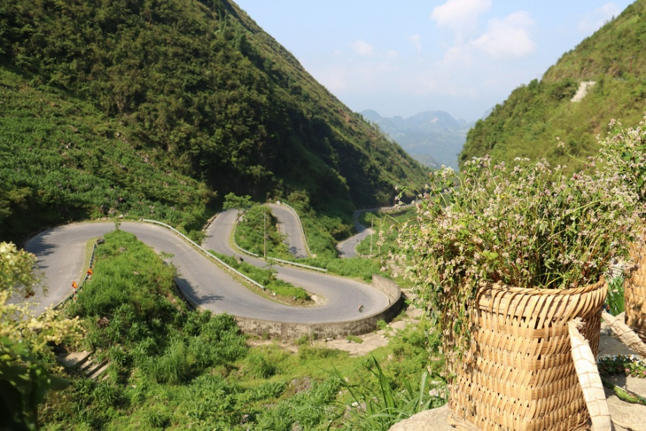 Winding road in Vietnam countryside