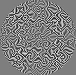 Optics Letters