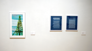 Ross Mazzupappa - Gallery Exhibit