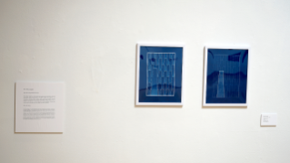 Ross Mazzupappa - Gallery Exhibit