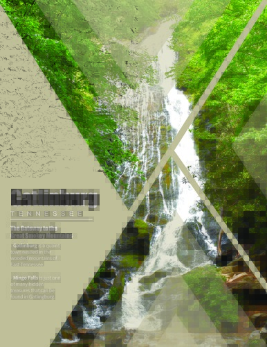 Chapman Reverse Engineer Flyer