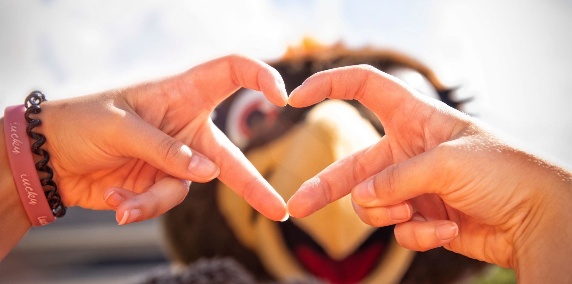 Connecting You to BGSU