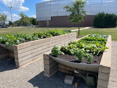 garden large raised beds