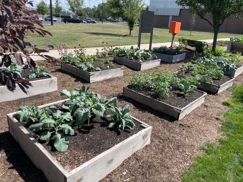 garden small raised beds
