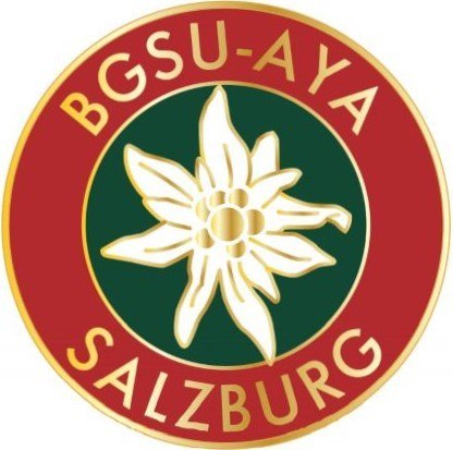 AYA-emblem