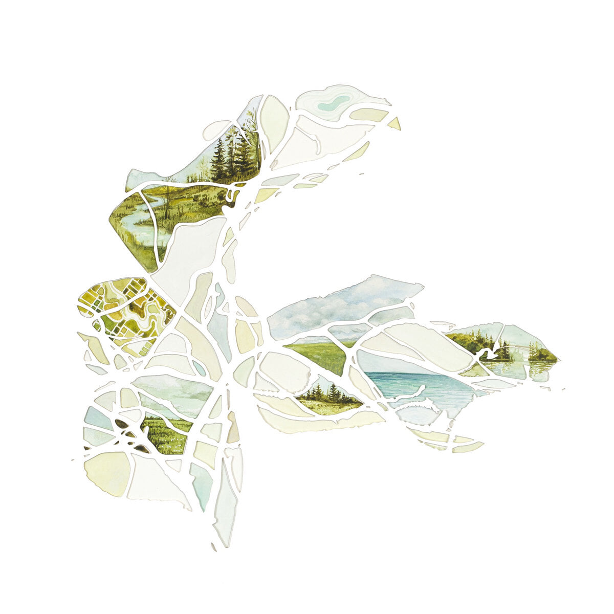enterbranch