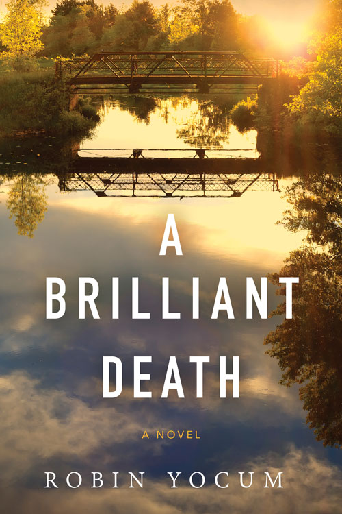 a Brilliant death book cover