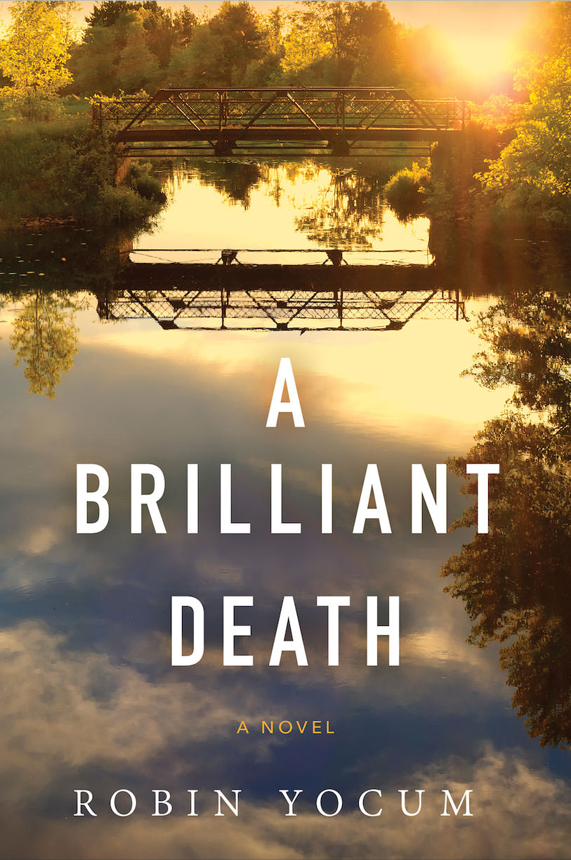 A brilliant death book cover