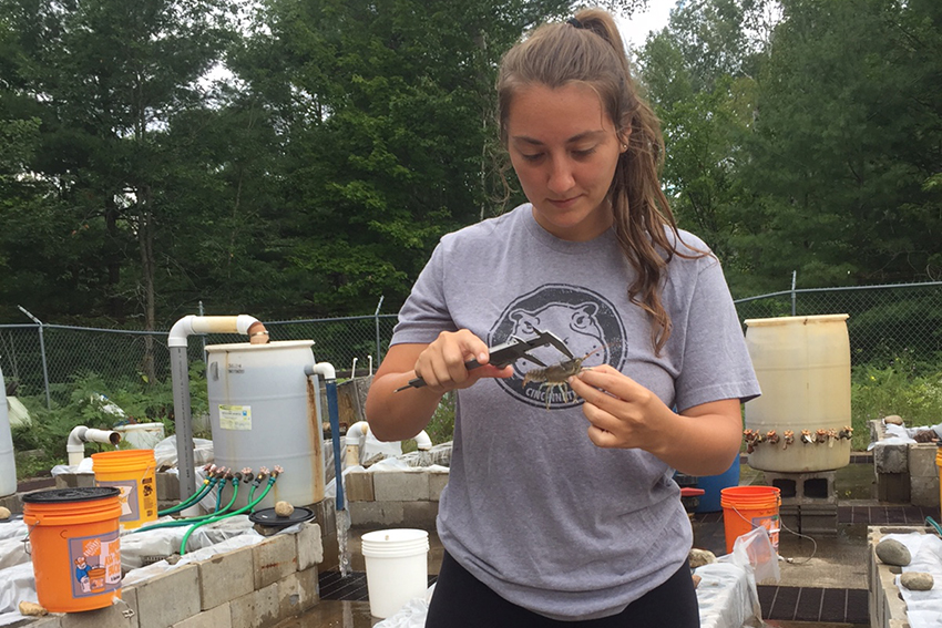 girl wearing gray shirt measuring a small fish