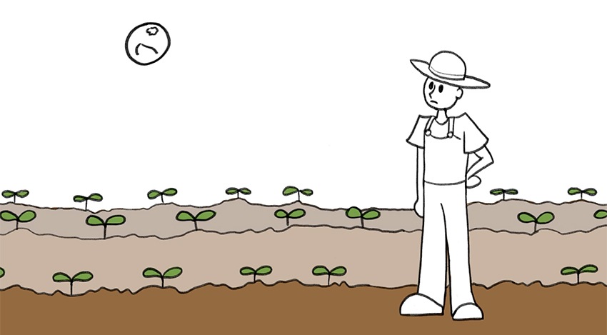 Environmental PSA 2
