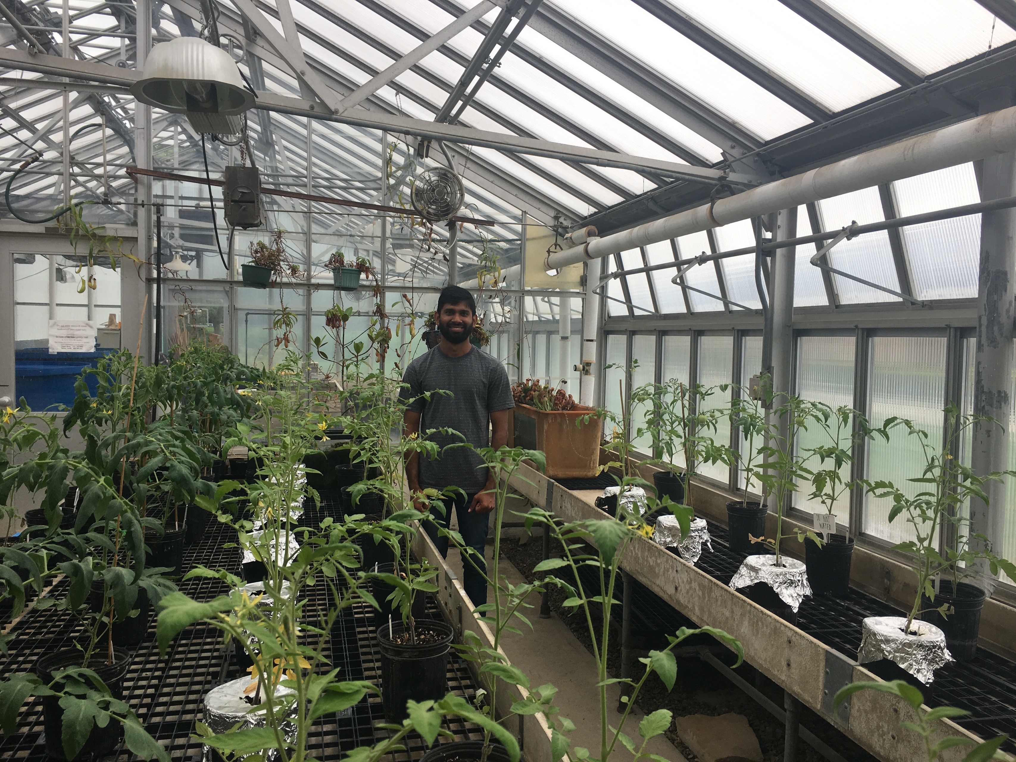 Jayan-Karunarathna-in-greenhouse