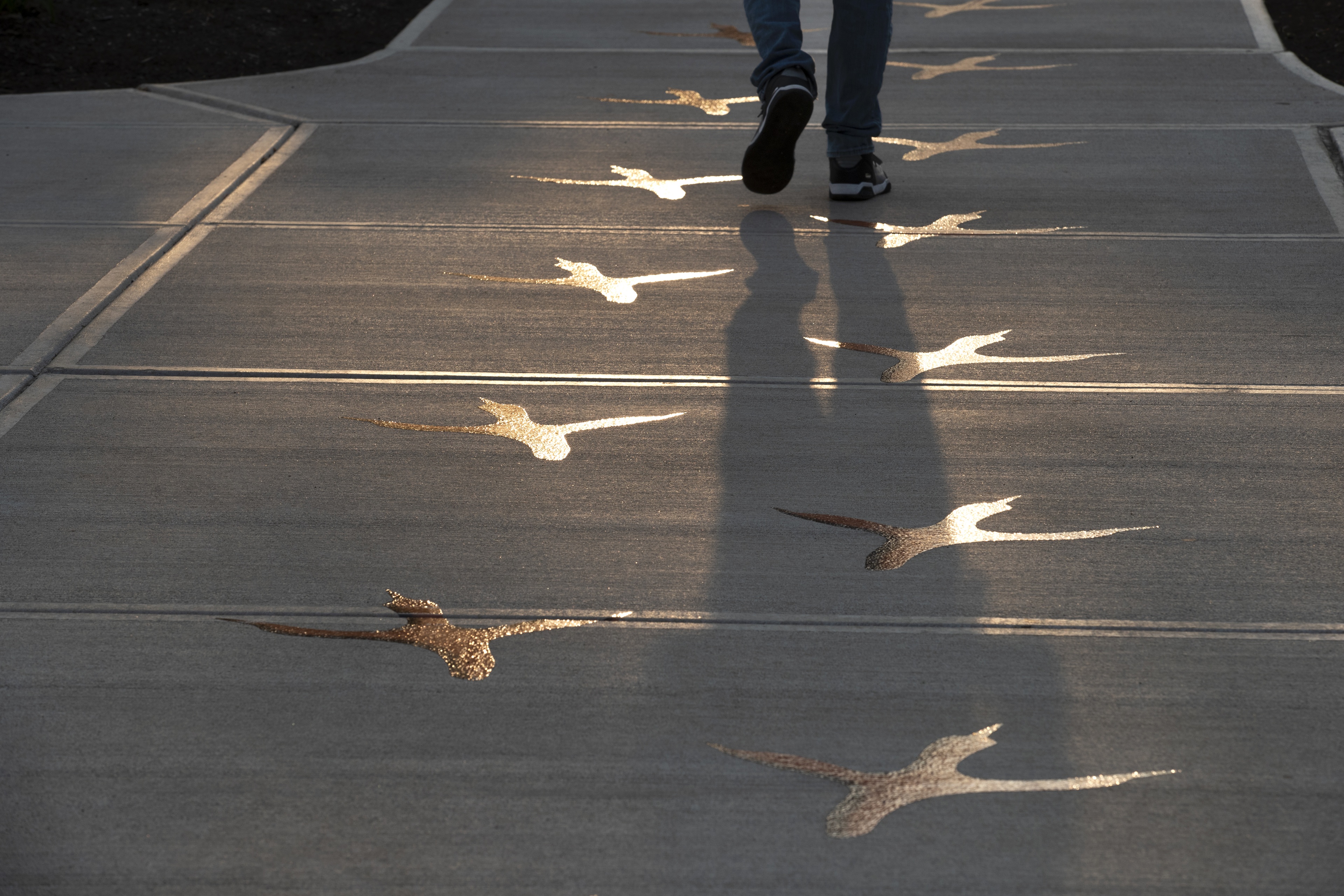 A BGSU student follows the footsteps of our Falcon Heritage