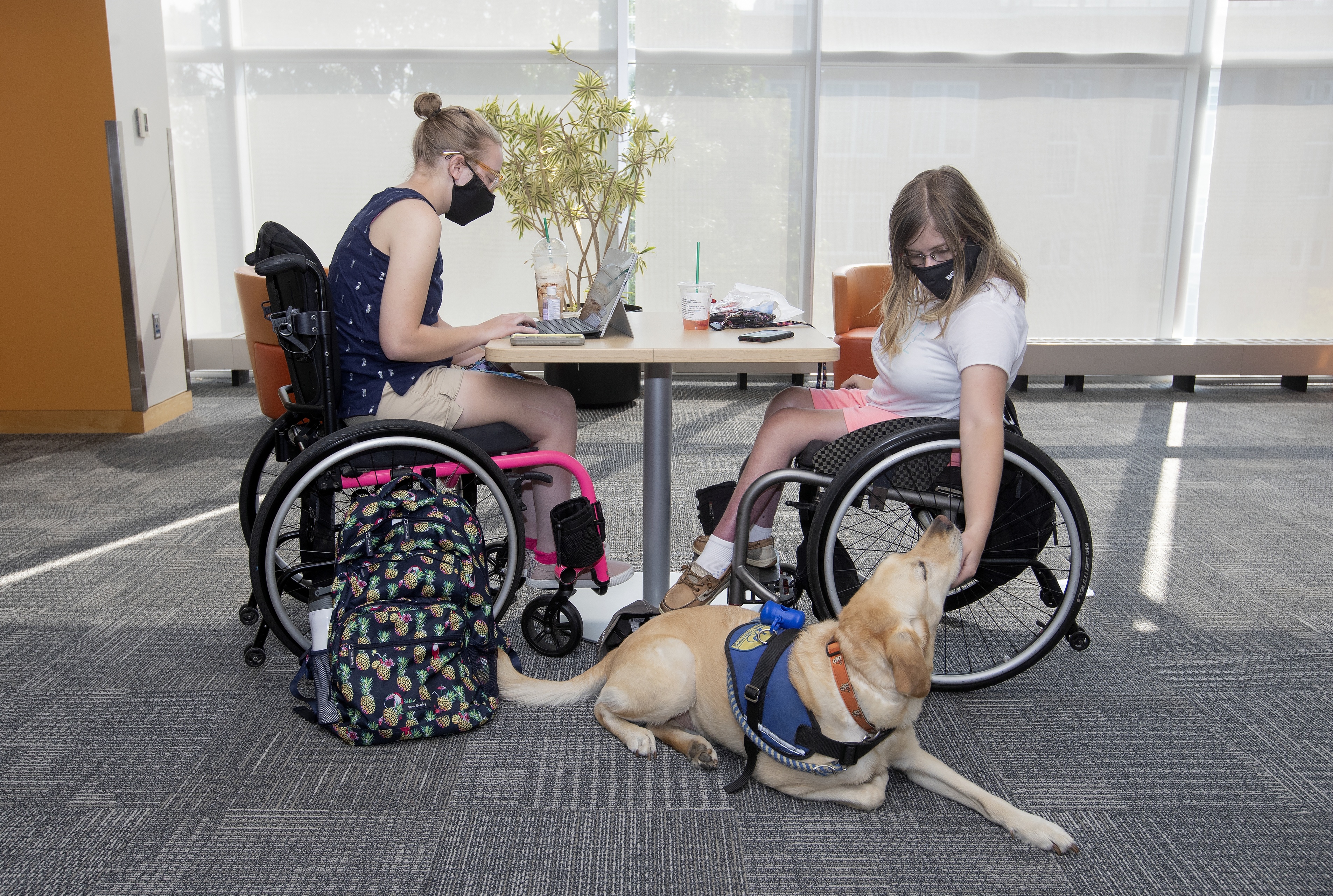 Schulze with her service dog, Wesler, while friend Schneider working on her laptop