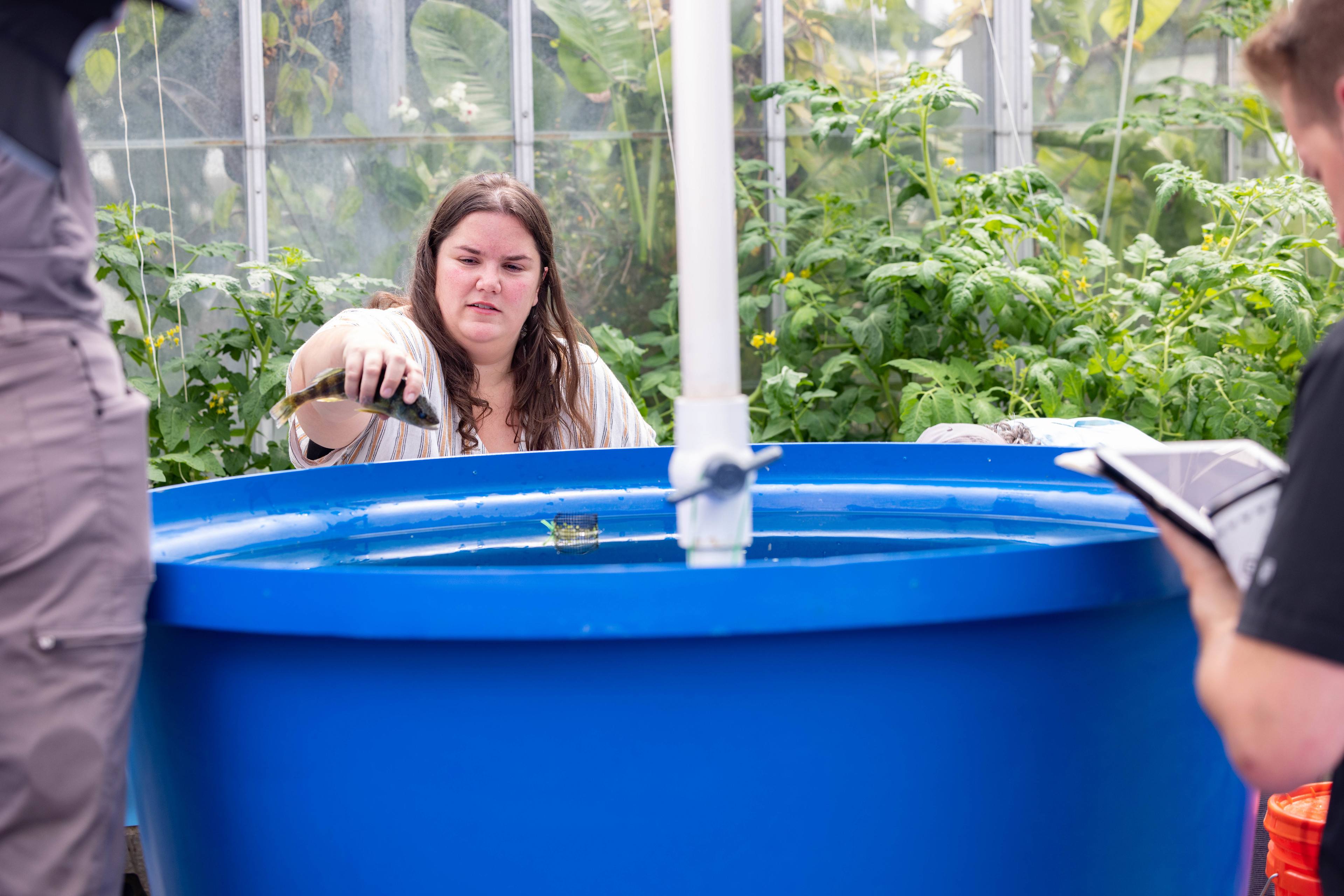 A woman holds a fish in her hand and prepares to release it into a tank
