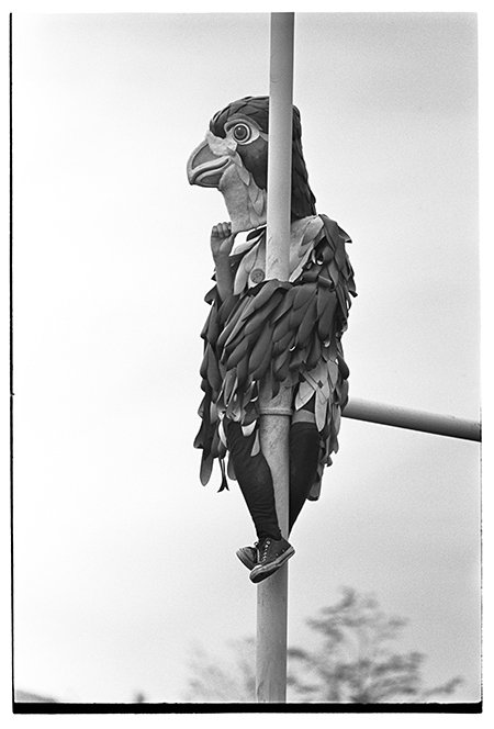 A person wearing a falcon costume climbs a field goal post