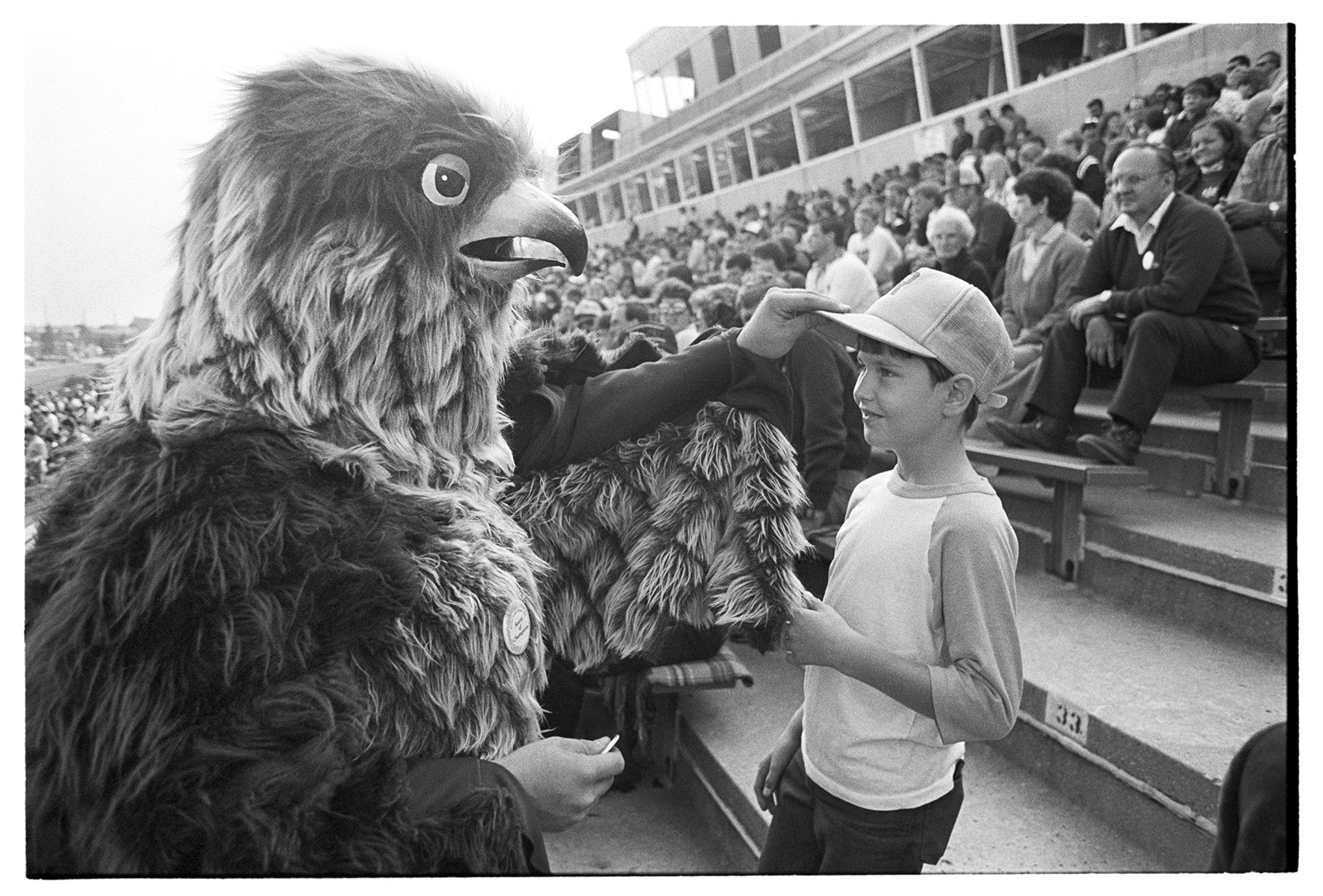 A falcon mascot touches a hat of a sports fan