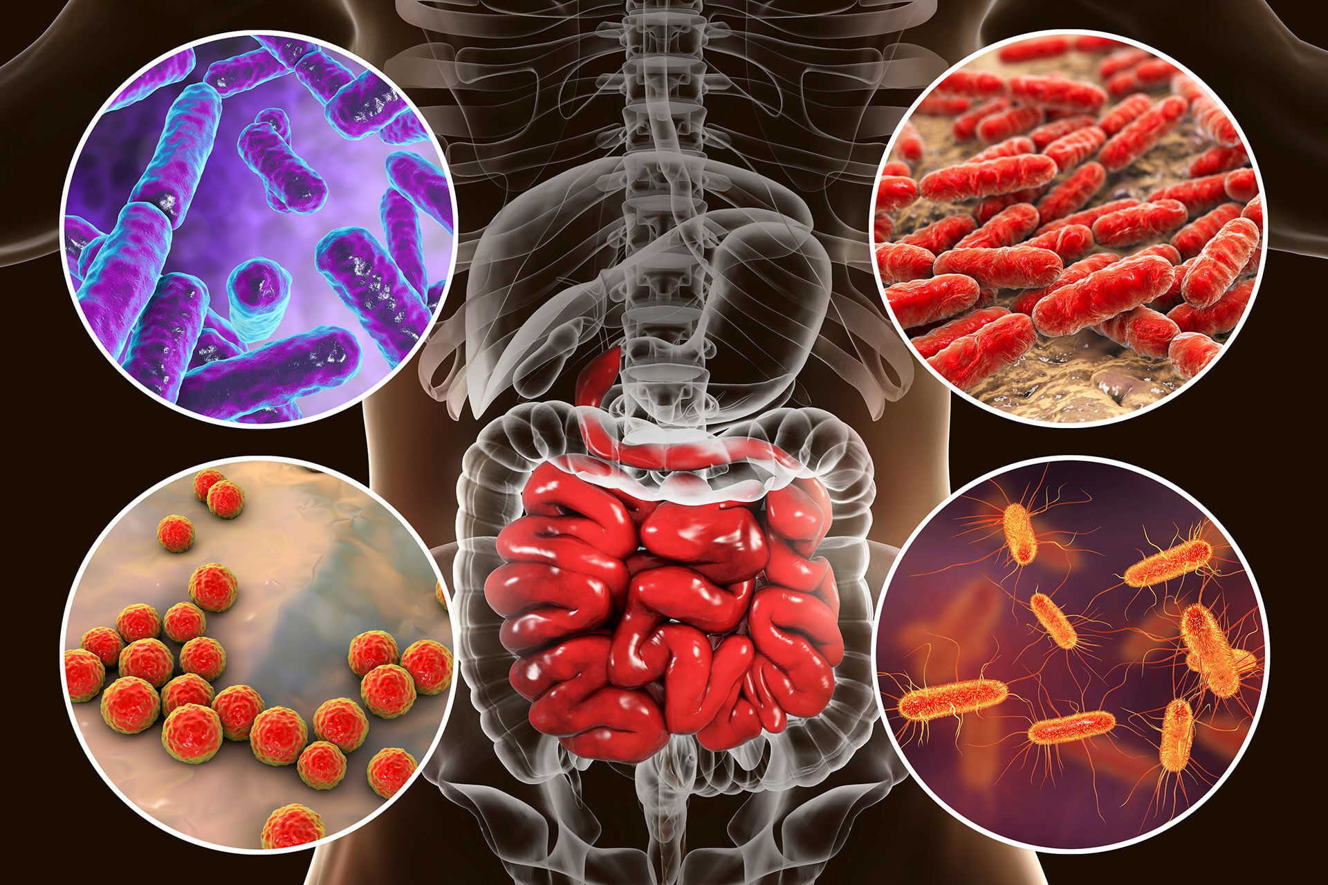 Digital rendering of micro bacteria inside a human