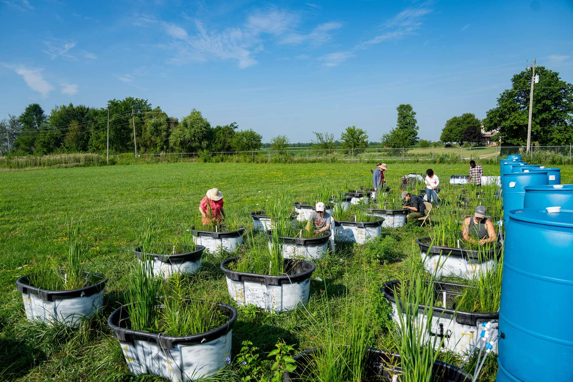 A field with tanks full of plants.