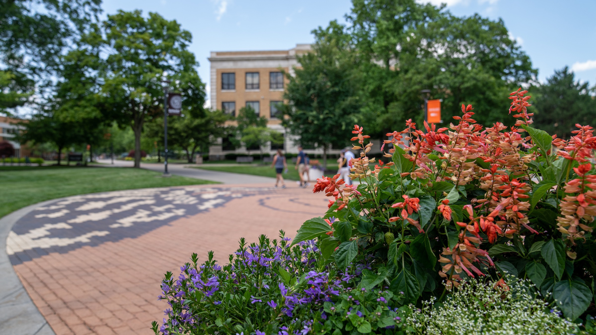 Summer Campus Features