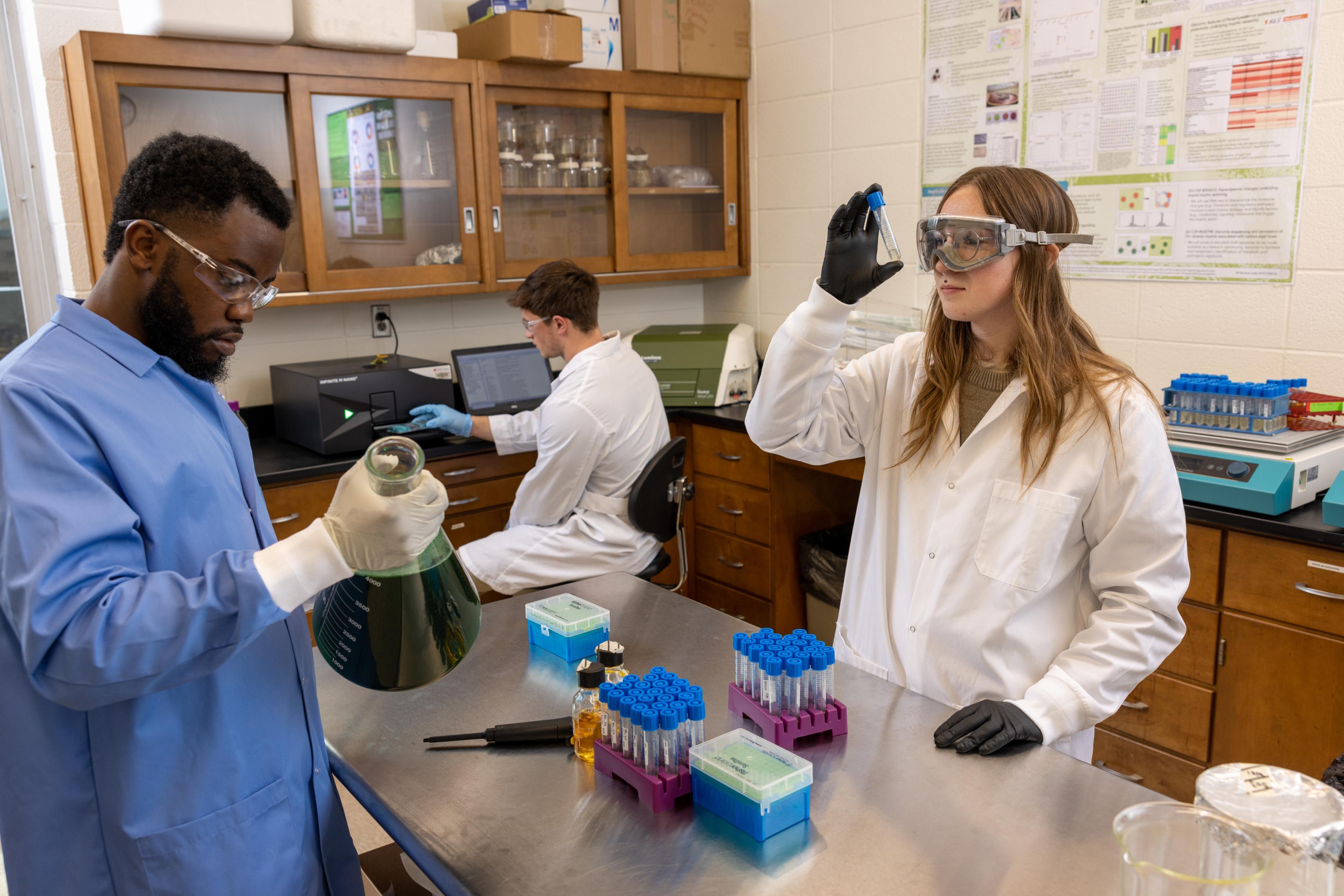 Students examine water samples in the Center for Great Lakes and Watershed Studies lab
