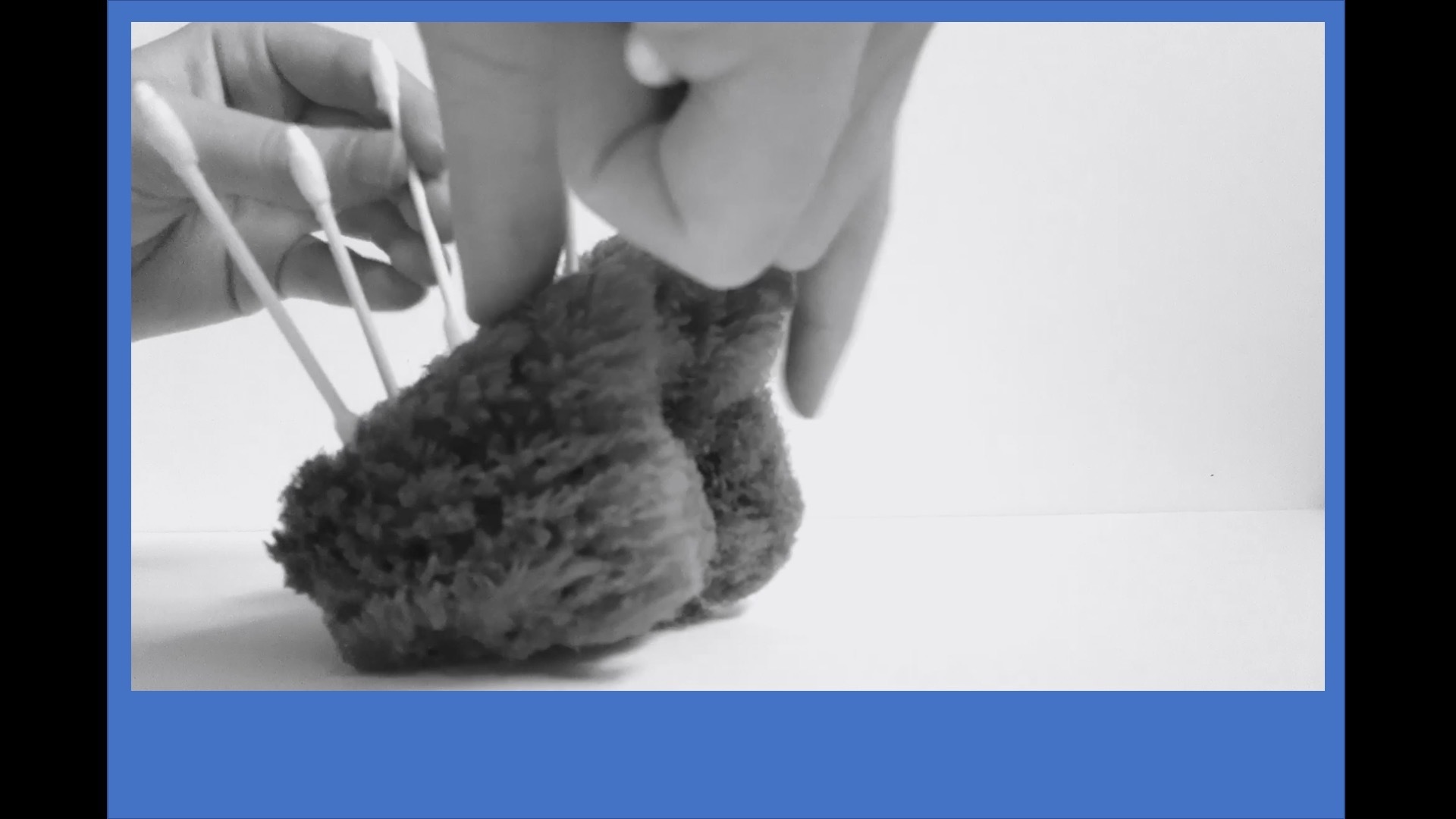 Close-up photo of hands pushing ear swabs into a sea sponge