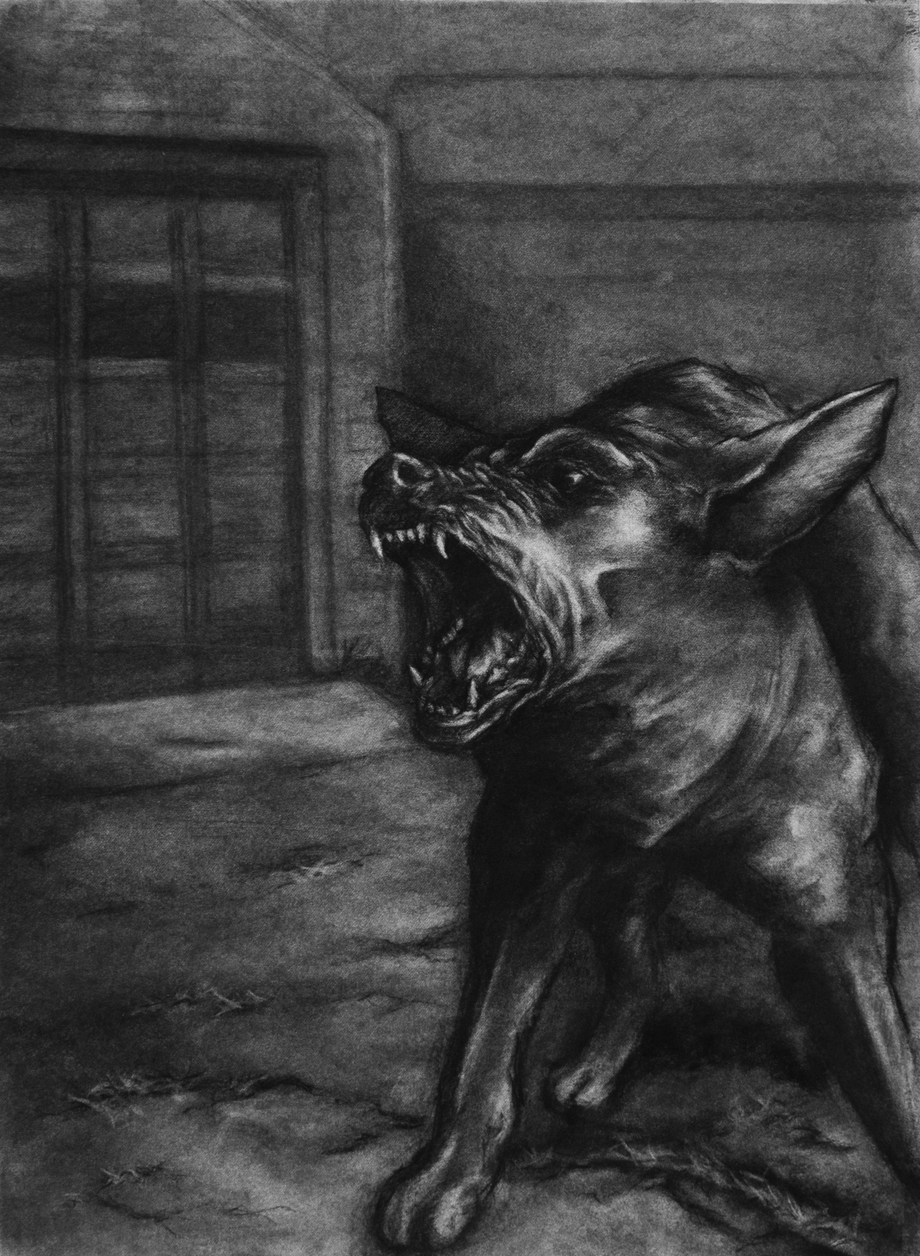 South Side Charcoal on Paper 20” x 30” 2021