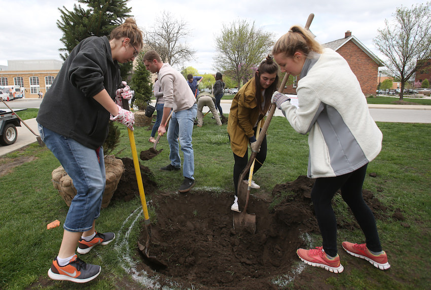 Tree-planting